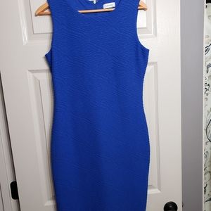 Calvin Klein dress